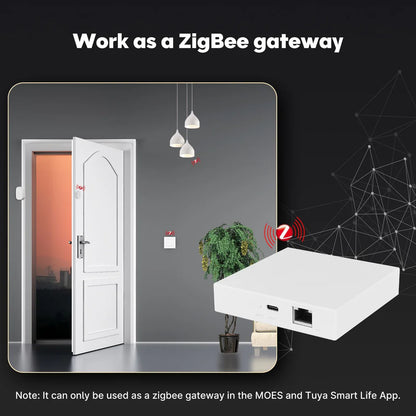 MOES MZHUB Tuya Zigbee + Matter Hub Ethernetillä